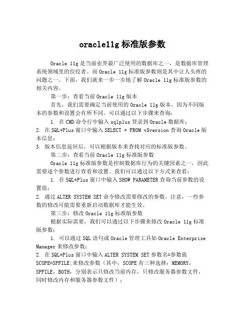 oracle11g标准版参数