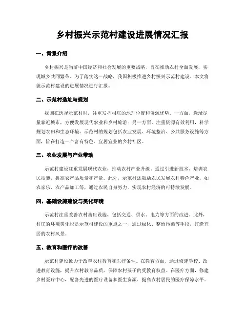 乡村振兴示范村建设进展情况汇报