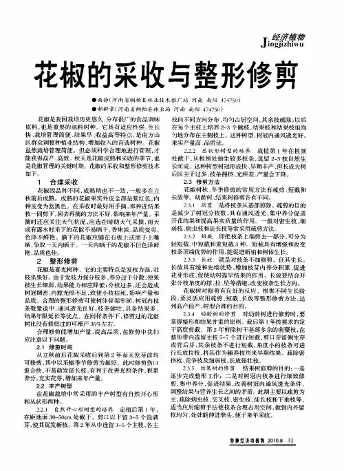 花椒的采收与整形修剪