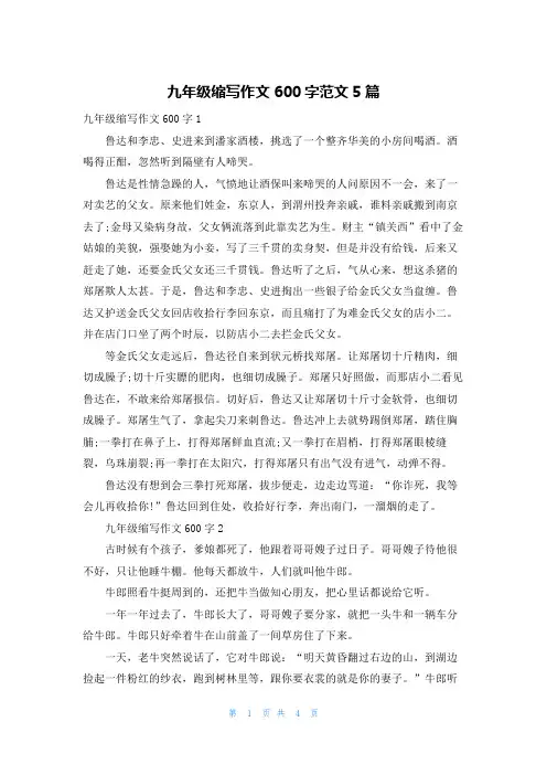 九年级缩写作文600字范文5篇