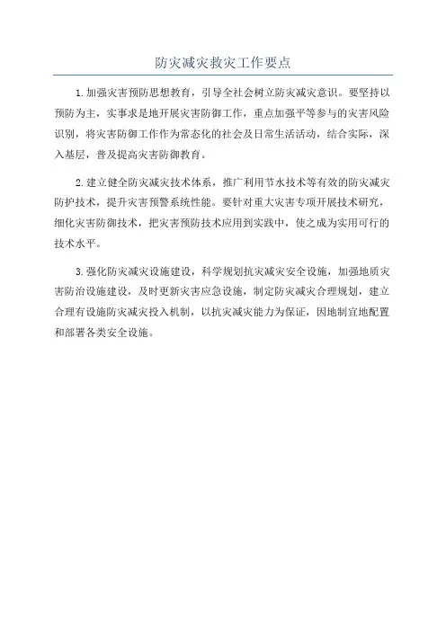 防灾减灾救灾工作要点