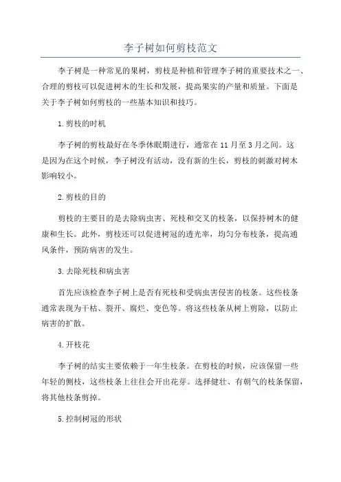 李子树如何剪枝范文
