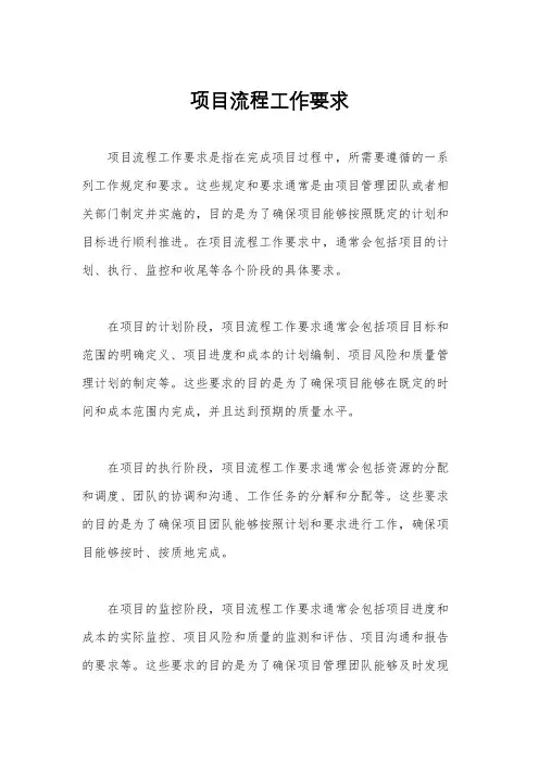 项目流程工作要求