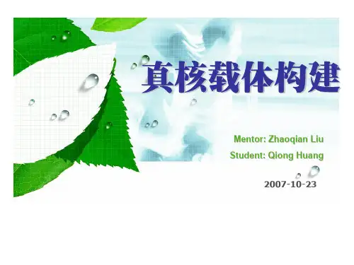 真核载体构建