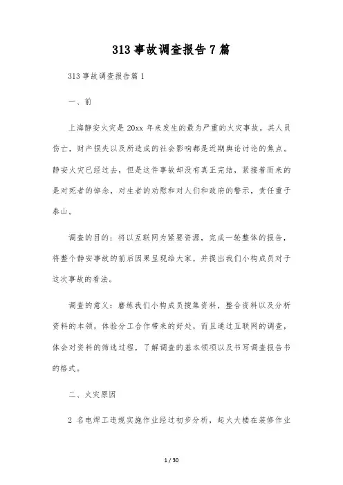 313事故调查报告7篇