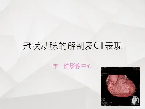 冠状动脉的解剖及CT表现