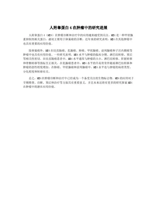 人附睾蛋白4在肿瘤中的研究进展