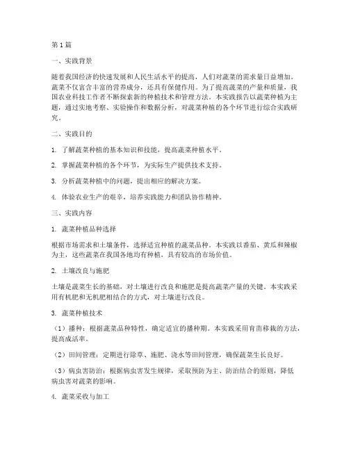 种植蔬菜综合实践报告(2篇)