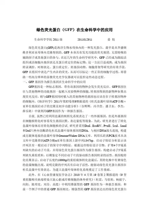 GFP在生命科学中的应用