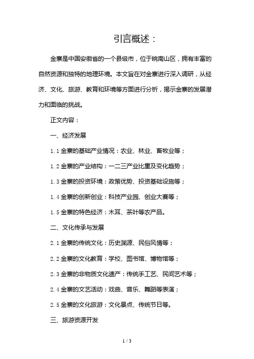 金寨调研报告2024