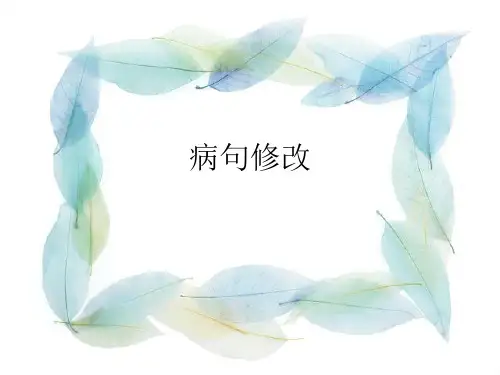 病句类型