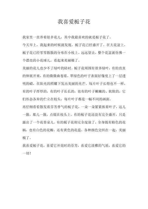 六年级状物我喜爱栀子花
