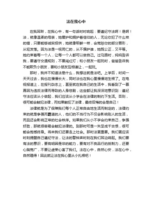 法在我心中