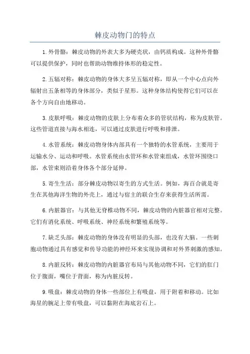 棘皮动物门的特点