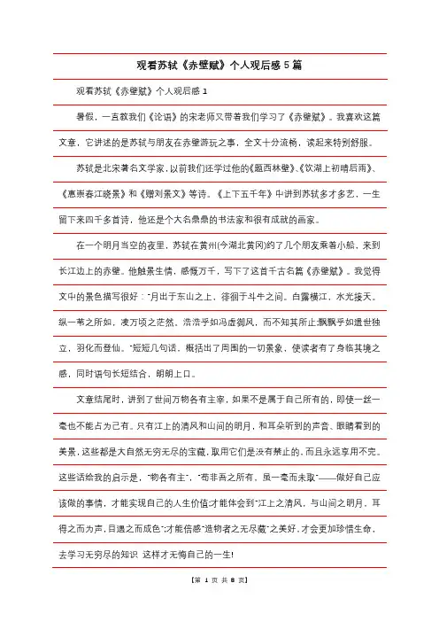 观看苏轼《赤壁赋》个人观后感5篇