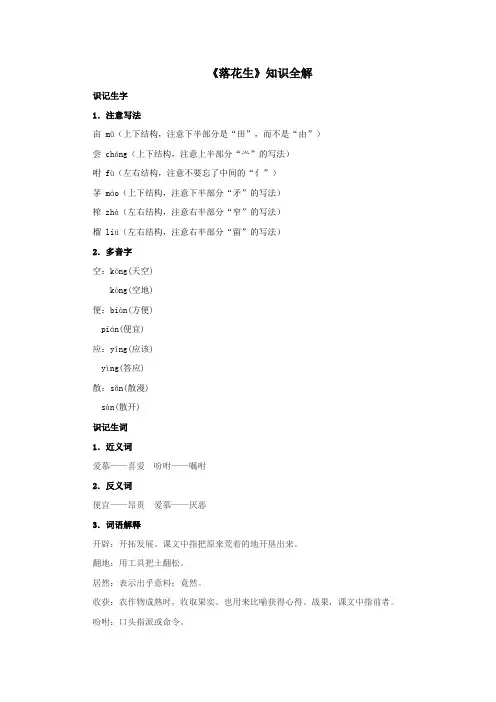 人教部编版小学五年级语文上册《落花生》知识全解