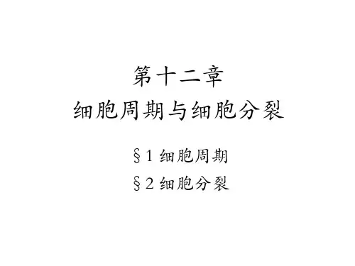 细胞生物学 第十二章细胞周期与细胞分裂-2