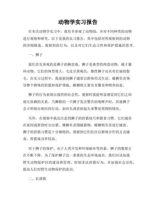 动物学实习报告