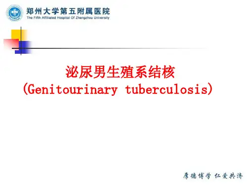 泌尿系结核-精品医学 课件