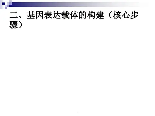 基因表达载体的构建