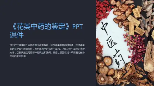 《花类中药的鉴定》课件