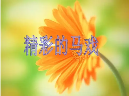 二年级语文下《选读课文5 精彩的马戏》172PPT课件 一等奖名师公开课比赛优质课评比试讲