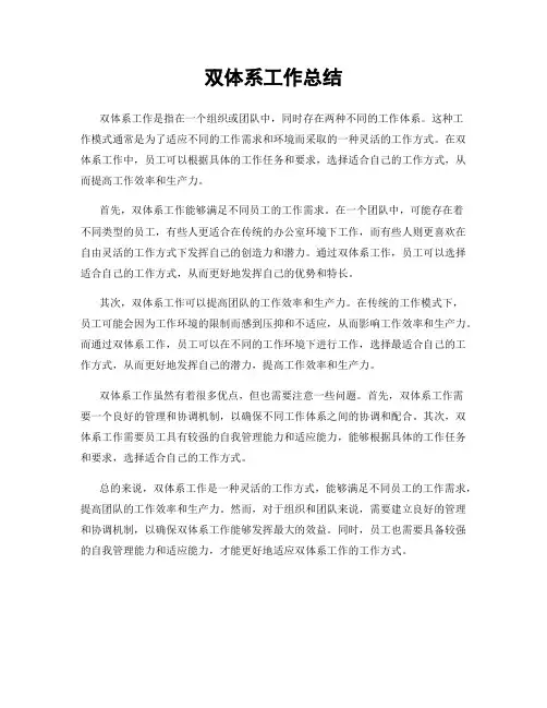 双体系工作总结