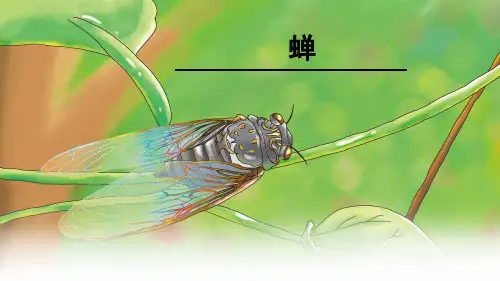 《昆虫记》：科普作品的阅读