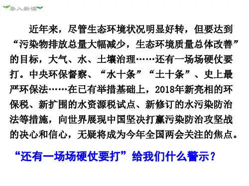 正视发展挑战PPT70页