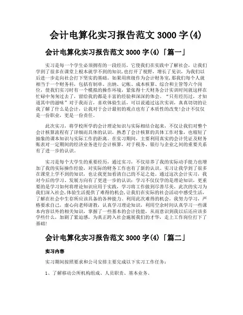 会计电算化实习报告范文3000字