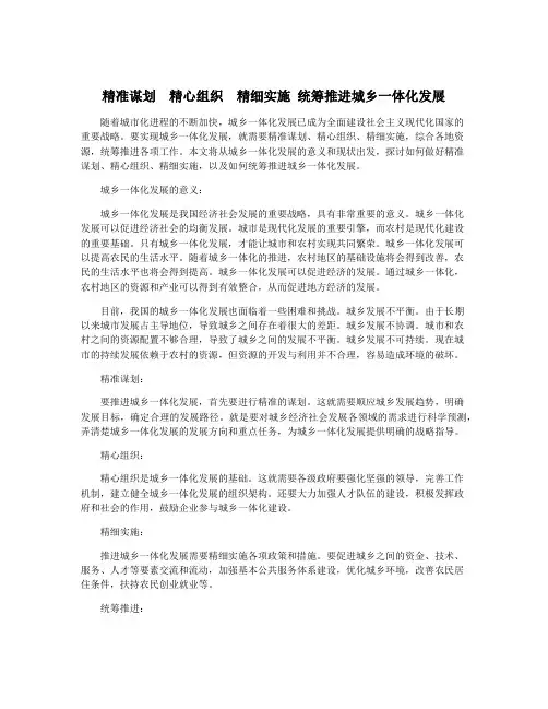 精准谋划 精心组织 精细实施 统筹推进城乡一体化发展