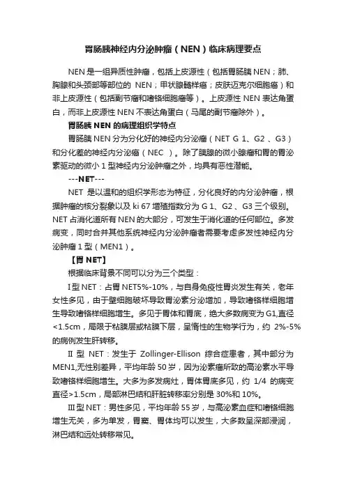 胃肠胰神经内分泌肿瘤（NEN）临床病理要点