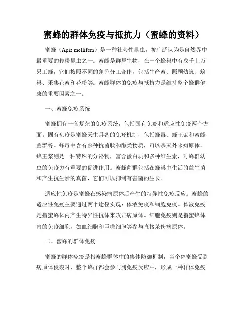 蜜蜂的群体免疫与抵抗力(蜜蜂的资料)