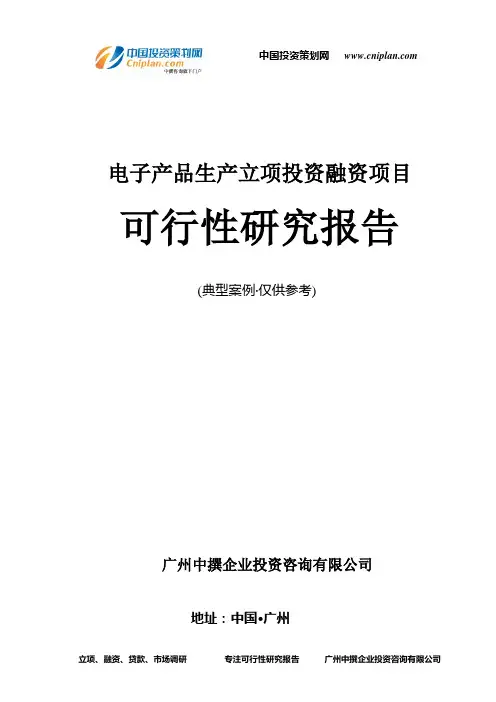 电子产品生产融资投资立项项目可行性研究报告(非常详细)