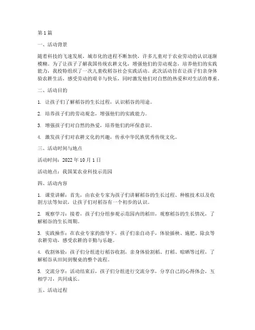 儿童收稻谷社会实践活动(3篇)