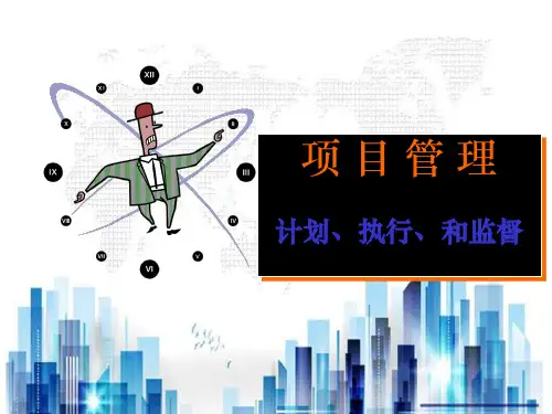 项目管理的计划、执行与监督讲义(ppt 28页)PPT学习课件