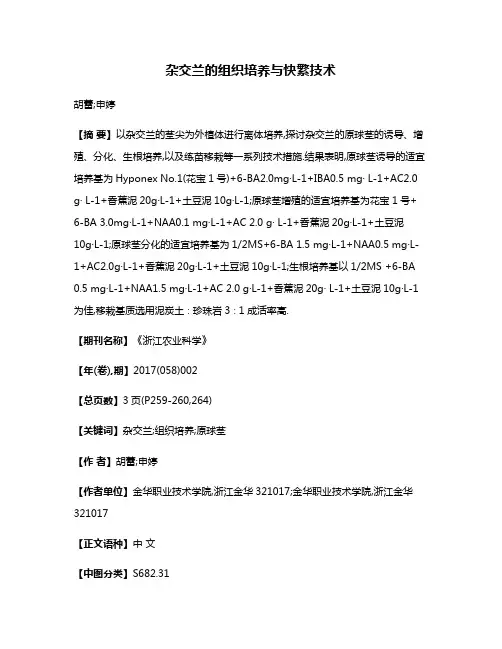 杂交兰的组织培养与快繁技术