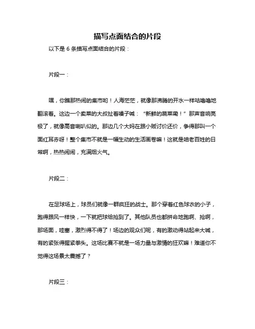 描写点面结合的片段
