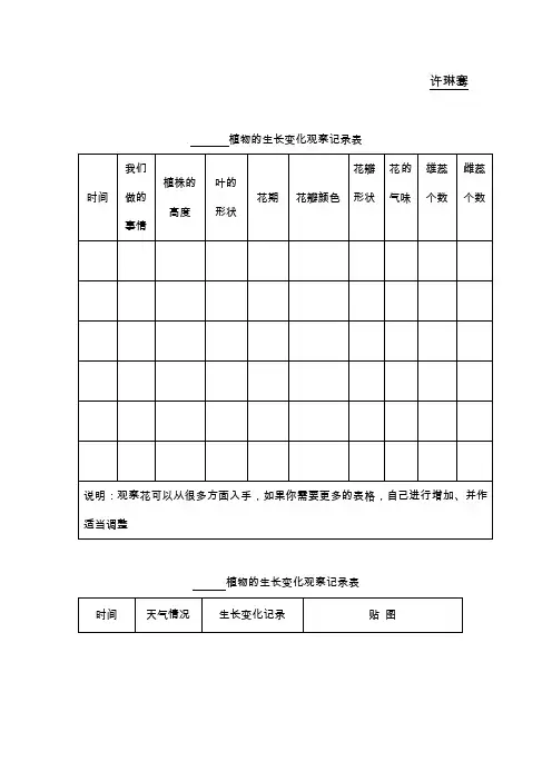 植物的生长变化观察记录表