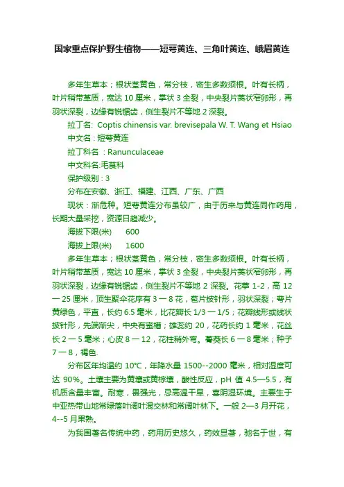 国家重点保护野生植物——短萼黄连、三角叶黄连、峨眉黄连