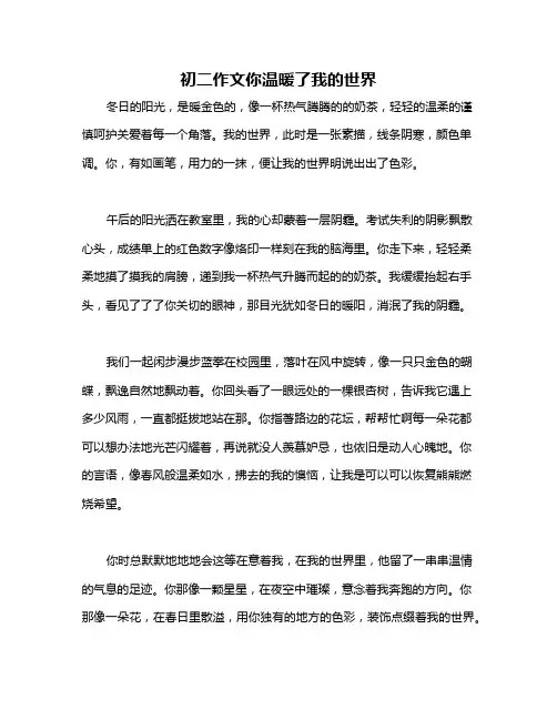 初二作文你温暖了我的世界