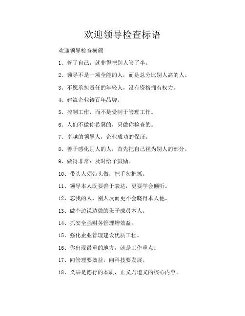 欢迎领导检查标语