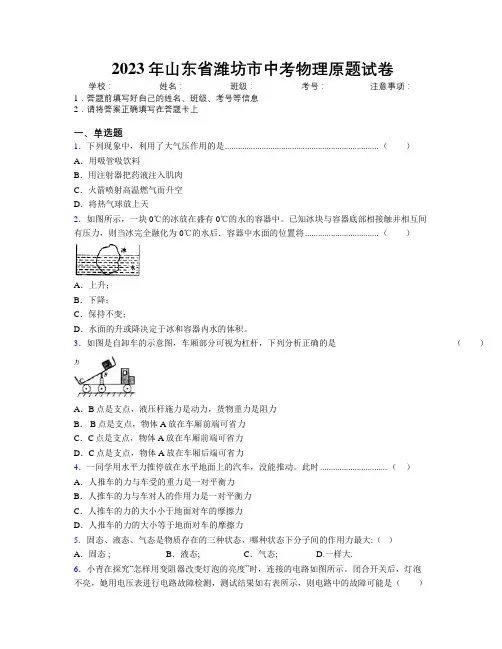2023年山东省潍坊市中考物理原题试卷及解析