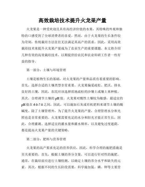 高效栽培技术提升火龙果产量