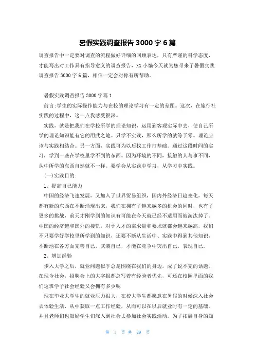 暑假实践调查报告3000字6篇