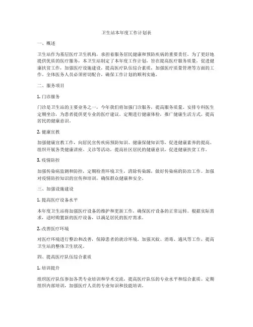 卫生站本年度工作计划表