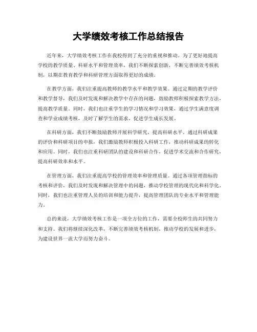 大学绩效考核工作总结报告
