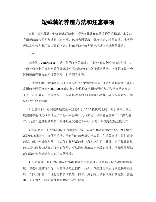 短绒藻的养殖方法和注意事项