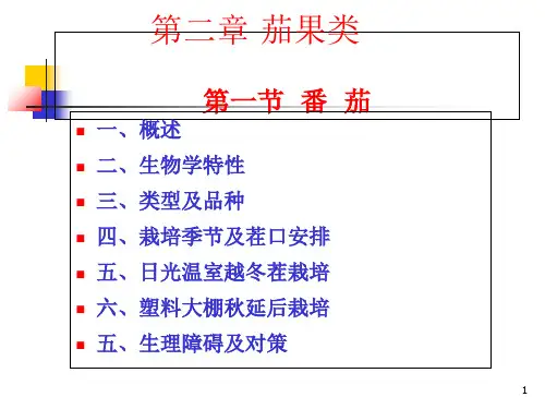 4.设施番茄栽培 蔬菜学 教学课件