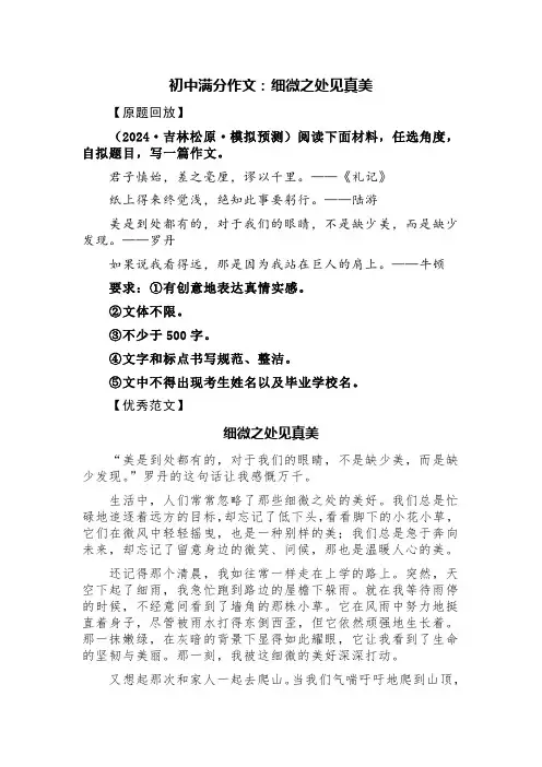 初中满分作文：细微之处见真美